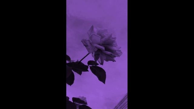 Я приду когда зацветёт весна .