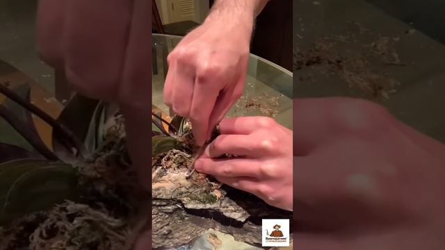 Декор для дома своими руками