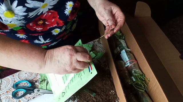 Моя жизнь в деревне.