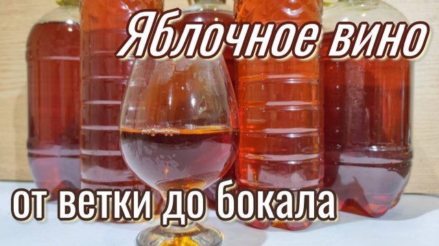 Яблочное вино. От ветки до бокала