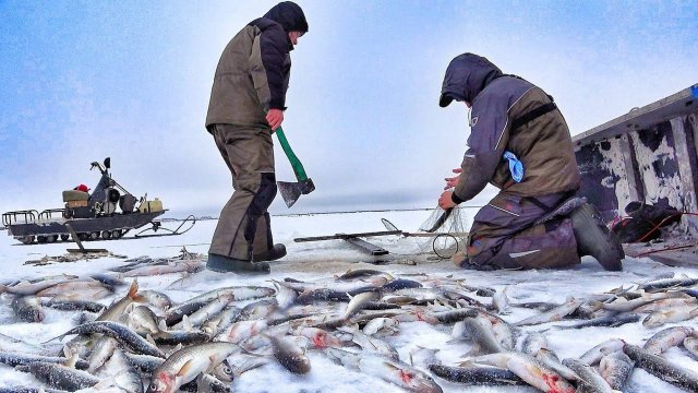 ПЕРВЫЙ ЛЁД КУДА? ИТОГИ СЕЗОНА И ПЛАНЫ НА ЗИМУ И НЕ ТОЛЬКО. ОТВЕТЫ НА ВОПРОСЫ