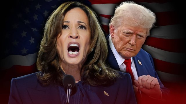 ЛУЧШИЕ ВЫБОРЫ в США