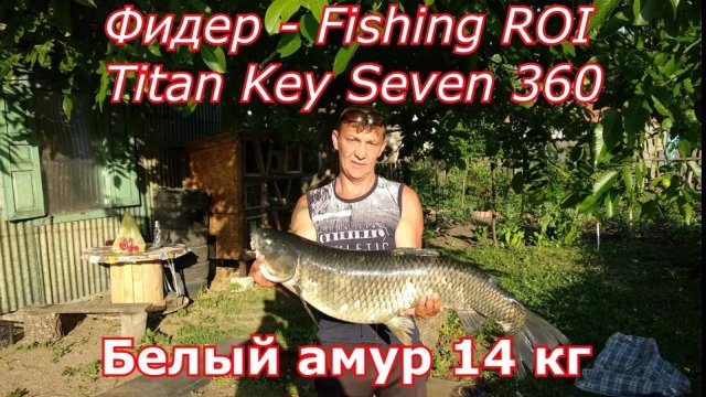 Рыбалка Белый амур . Рыбалка на белого амура флэт фидер