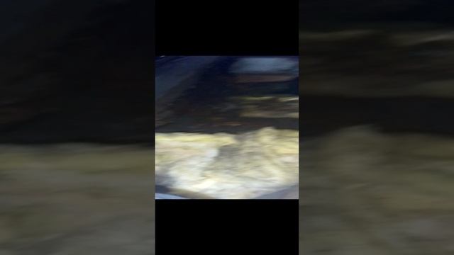 1000002786.mp4