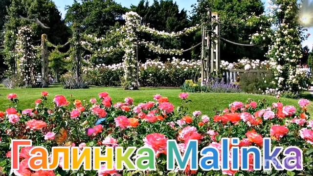 Колесниковы / Признался /Что виноваты в смерти ребёнка /Обзор Влогов /7-Я Колесниковы /Kolesnikov /