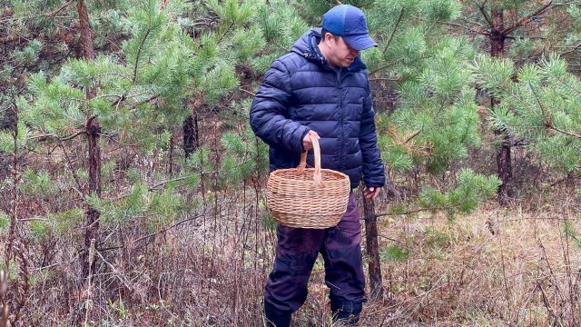 ГРИБЫ ПОЗДНЕЙ ОСЕНЬЮ. МОЩНЫЕ МАСЛЯТА! Грибы 2024