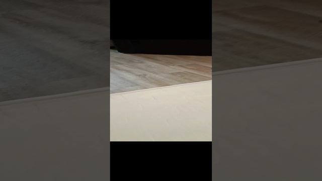 поведение Вероники.mp4