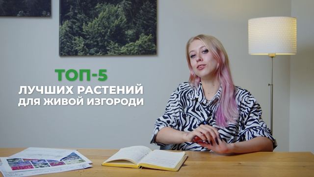 Всё, о чем нужно знать, чтобы живая изгородь стала украшением участка