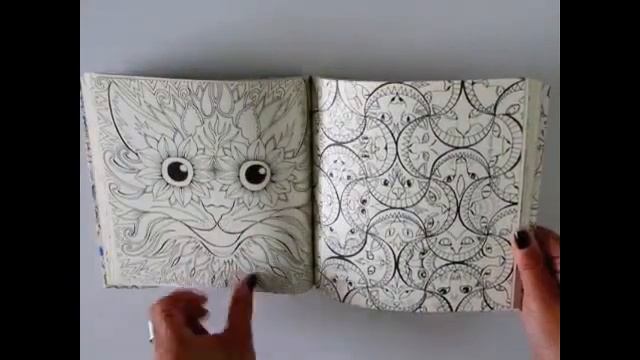Flip Through Escape to Wonderland Coloring Book