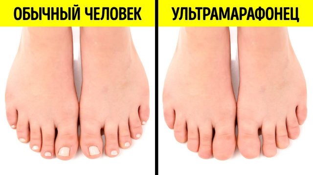 Удивительные факты о теле, которые заставят вас пересмотреть видео снова