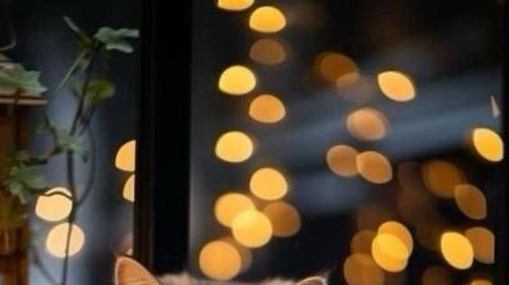 Новая история - Слушать рассказ....