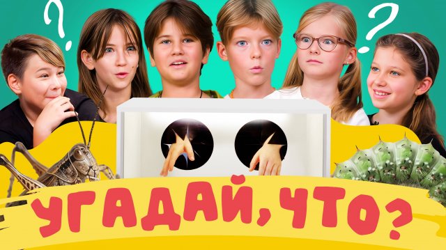 И вновь шестеро бесстрашных проверят свою интуицию...