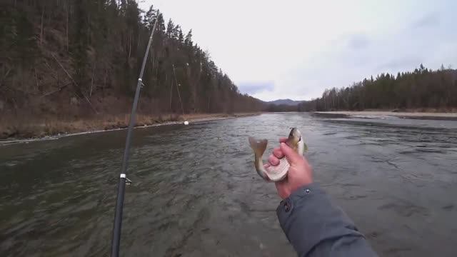 Рыбалка на ХАРИУСА ОСЕНЬЮ по Заберегам_ в Мороз_Новый Маршрут По Горной РЕКЕ ХАКАСИИ_ Леска трещит!