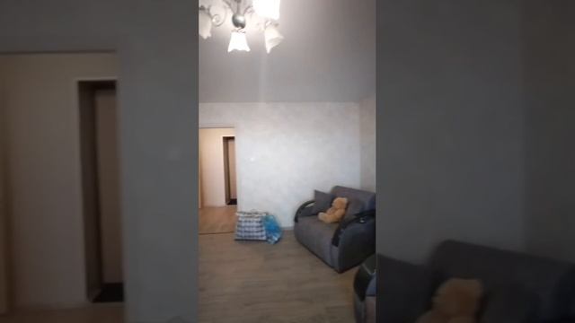 video5269576314121116625