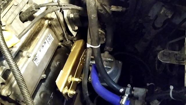 Подогреватель  220 вольт на газель Некст с двигателем Евотек.