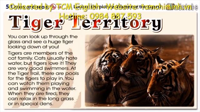 FF3 U6 Extensive Reading 2 Tiger territory