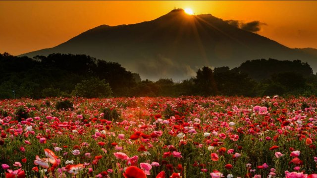 Музыка Для Релакса Без Рекламы Слушать Онлайн. Музыка Релакс Успокаивающая Слушать Онлайн