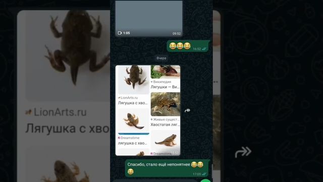 больше вопросов, чем ответов