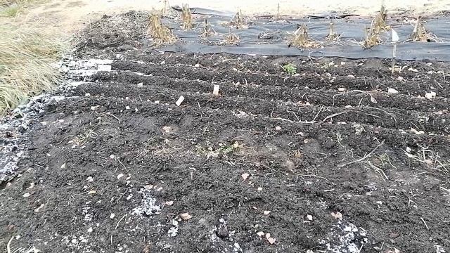 3.11.24 закрытие сезона 2024