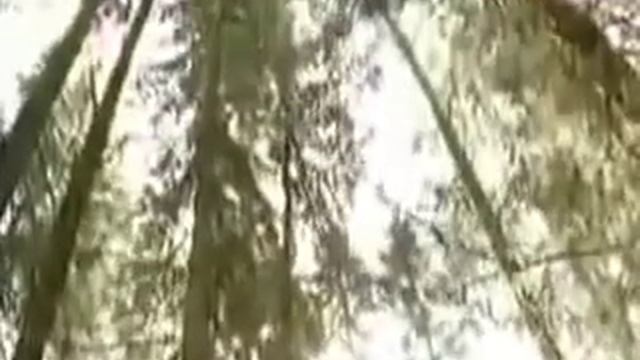 Упражнения для сердца