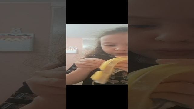 обзор.mp4