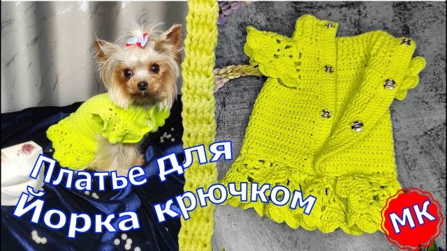 Платье (свитер) для собаки Йорка или Той терьера крючком