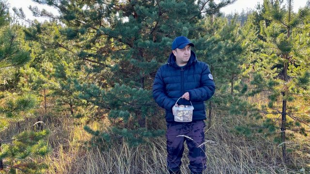 ГРИБЫ В КОНЦЕ СЕЗОНА. Тихая охота поздней осенью. Грибы 2024