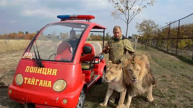 ТАНЦУЮЩИЙ ЛЕВ МАРСЕЛЬ ! Ролик подписчика !