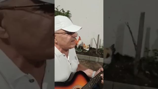 Шахбанкади в кругу друзей, даргинская песня на гитаре