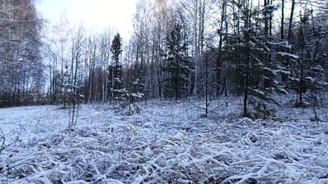 Зазимье