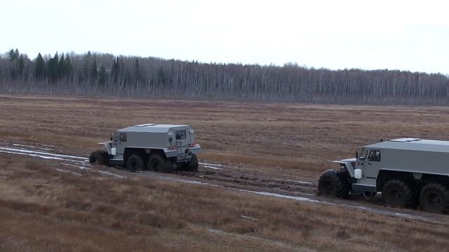 ХИЩНИК против ХИЩНИКА - 2 (сравнение разных шин)