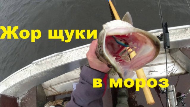 Проводка воблера поздней осенью. Тактика поиска скопления щуки. Мачете косит зубастую.