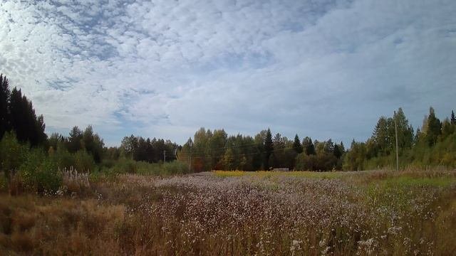 сентябрь поле у дома