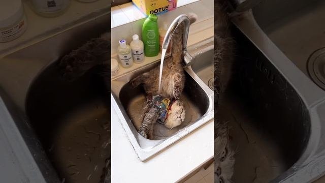 Вадопад