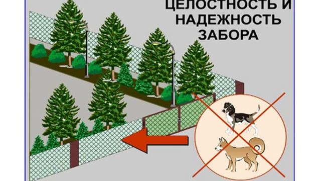 Требования к территории дошкольного образовательного учреждения