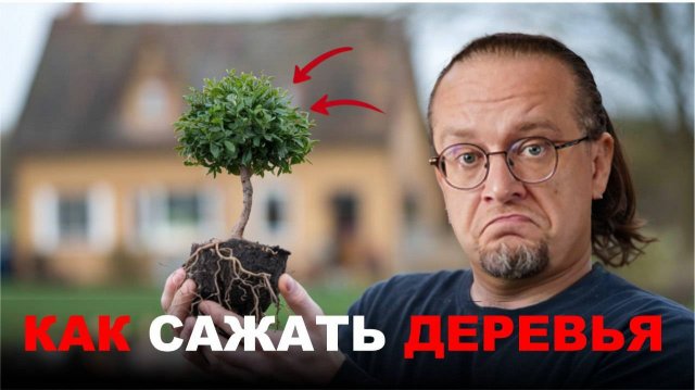 Озеленение Участка. Сколько я потратил? Когда делать? Какие растения сажать?