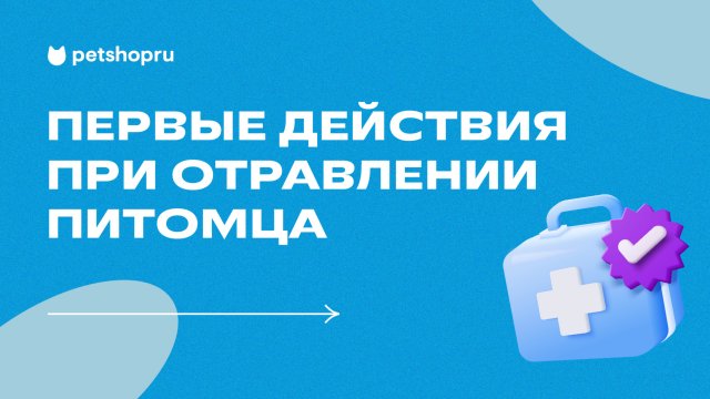 Что делать, если питомец отравился? Причины, симптомы и действия при отравлении животного