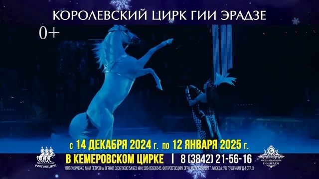 В Кемерово стартует новогоднее шоу «Королевский цирк»!