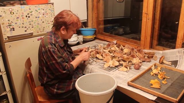 Засолка грибов. Видеокурс. часть 1 Первичная чистка и нарезка.