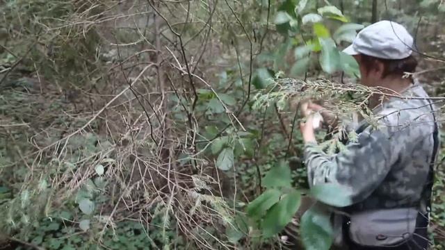 Ведьмин круг белых грибов