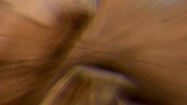 Может ты вернёшься может это сон 😞