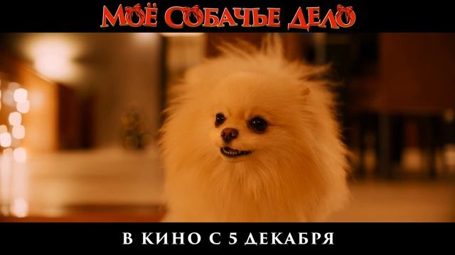 Моё собачье дело - 2024 (11)