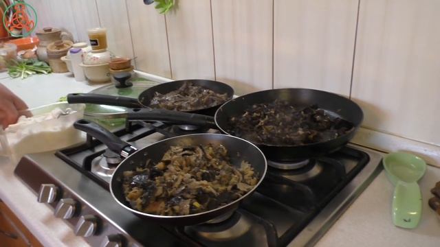 Какая рядовка вкуснее? ...Рядовка чешуйчатая? Рядовка штриховатая? Рядовка фиолетовая?