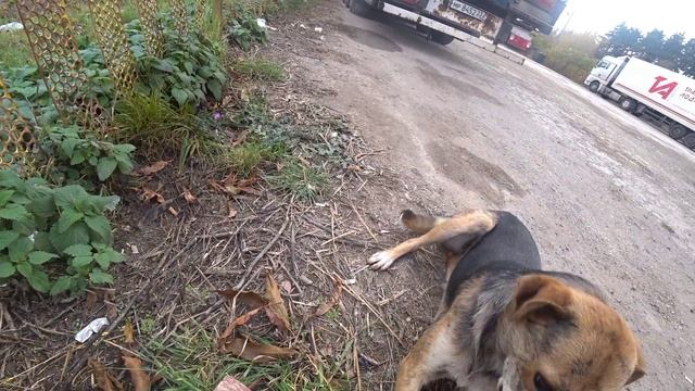 Приехал из Турции и снова в рейс в Сочи