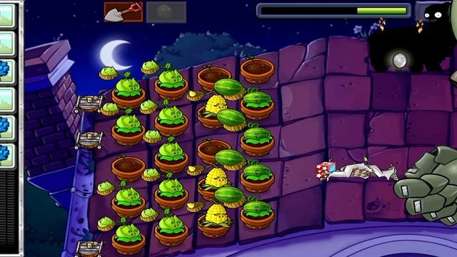 pvz