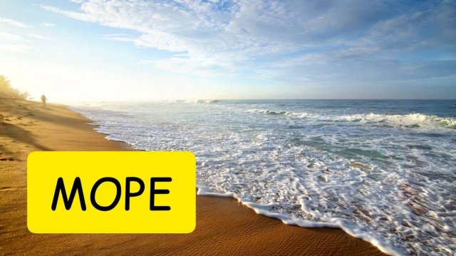 К чему снится МОРЕ или море ВО СНЕ. Толкование сна. Сонник