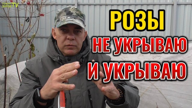 ✅ 5 СЕКРЕТОВ, которые помогут вашим 🌹 РОЗАМ пережить зиму🌨 без укрытия и с укрытием 🏡