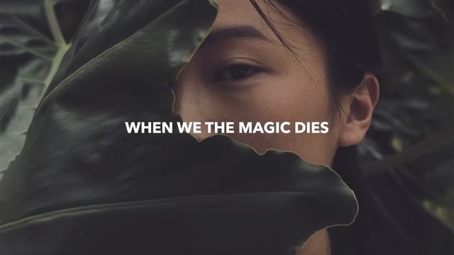 Culture Code & Neal Datta - When The Magic Dies (Lyrics) feat. Dia Frampton