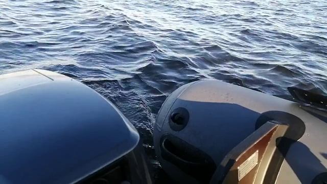 Sea-Pro 9.8 -  завершение водномоторного сезона 2024, 10 ноября.