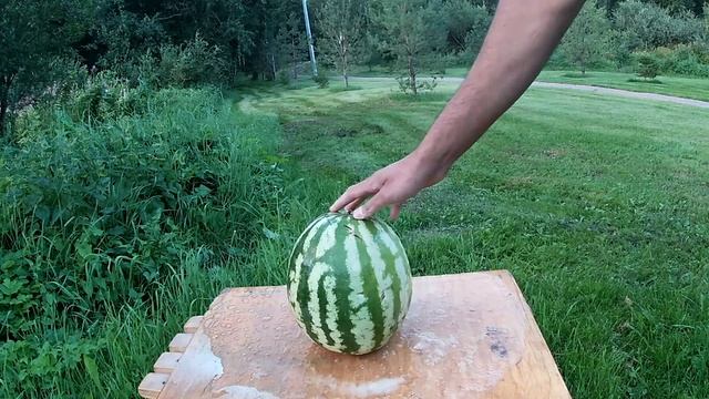 #эксперимент #Кола #Ментос Эксперименты разные эффектом кола фанта спрайт и ментос